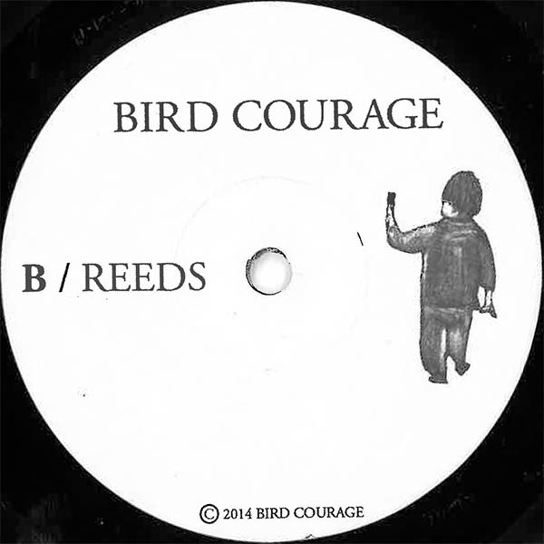 last ned album Bird Courage - Knives Reeds