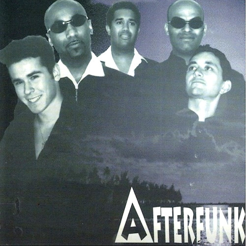 baixar álbum Afterfunk - Seule Dans Le Noir