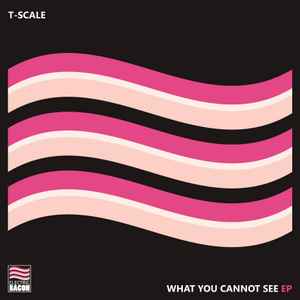 T-Scale - What You Cannot See EP album cover