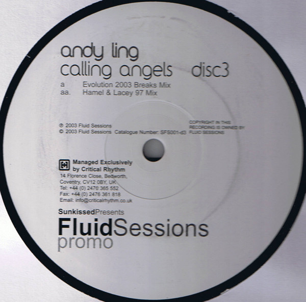 descargar álbum Andy Ling - Calling Angels Disc Three