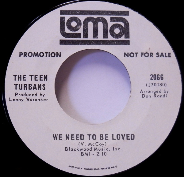 descargar álbum The Teen Turbans - Didnt He Run We Need To Be Loved