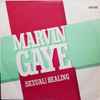 Marvin Gaye - (Sexual) Healing (Club Mix)