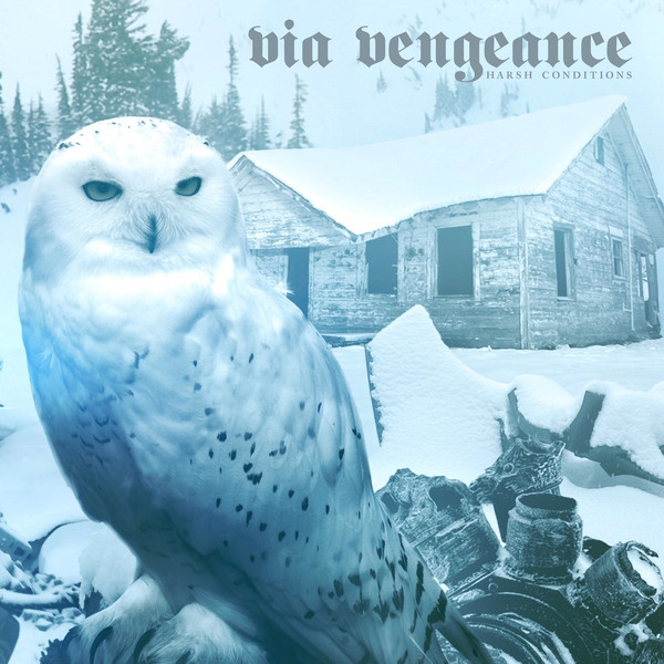 lataa albumi Via Vengeance - Harsh Conditions