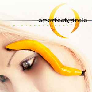 A Perfect Circle - Thirteenth Step album cover