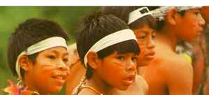 Memória Viva Guarani