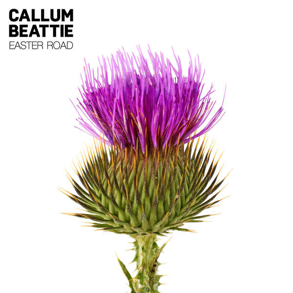 ladda ner album Callum Beattie - Easter Road