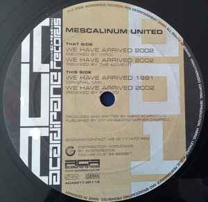 We Have Arrived 2002 (Remixes) - Mescalinum United