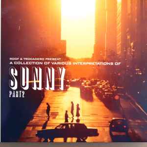 Various - A Collection Of Various Interpretations Of Sunny Part 2