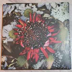 Protest The Hero – Fortress (2023, Grape w/ Gold Nugget Blob +