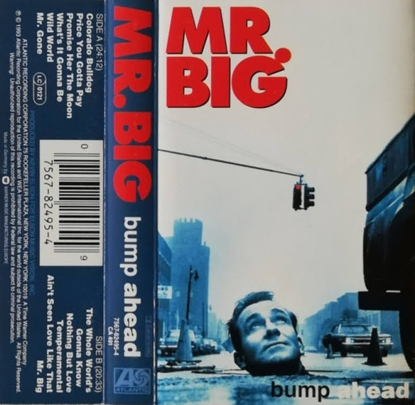 Mr. Big – Bump Aheadバンプ・アヘッドレコードLP1993年 - レコード