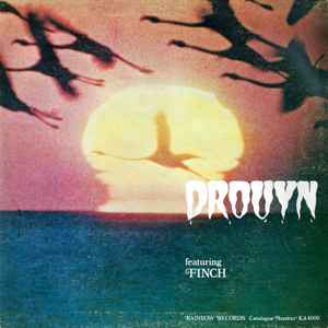 Peter Martin (13) - Drouyn  album cover
