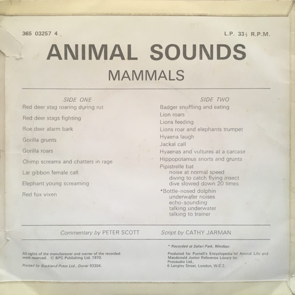 ladda ner album Unknown Artist - Animal Sounds Mammals