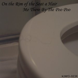 lataa albumi On The Rim Of The Seat A Hair - Me There By The Poo Poo