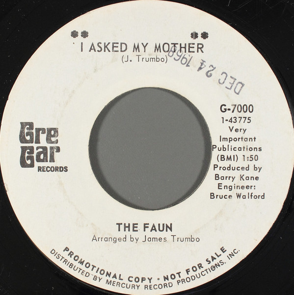 baixar álbum The Faun - I Asked My Mother Better Dig What You Find