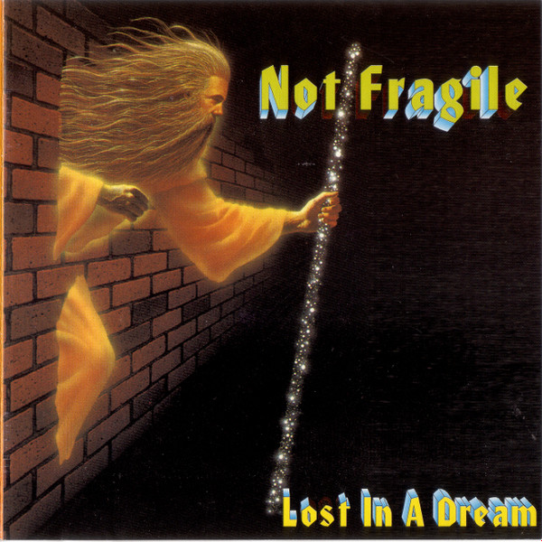 descargar álbum Not Fragile - Lost In A Dream