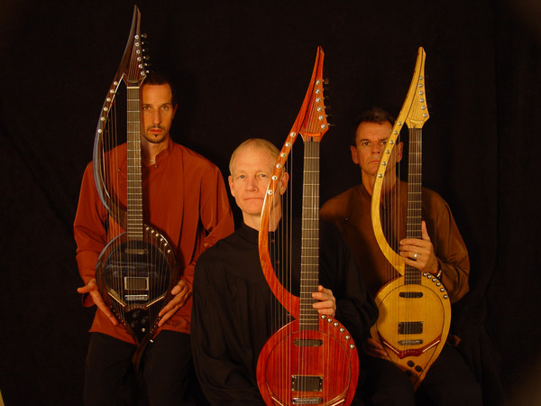 electric harp guitar group