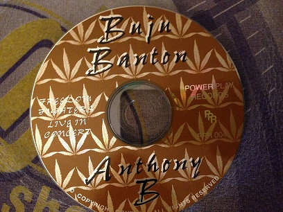 last ned album Buju Banton Anthony B - Chanting Down The Wall Of Babylon Live