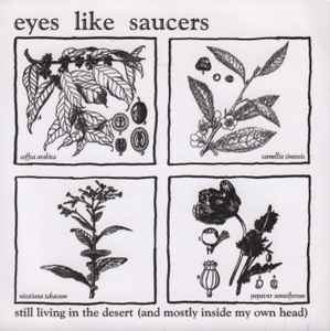 Eyes Like Saucers - Still Living In The Desert (And Mostly Inside My Own Head) album cover