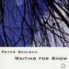 Peter Benisch - Waiting For Snow
