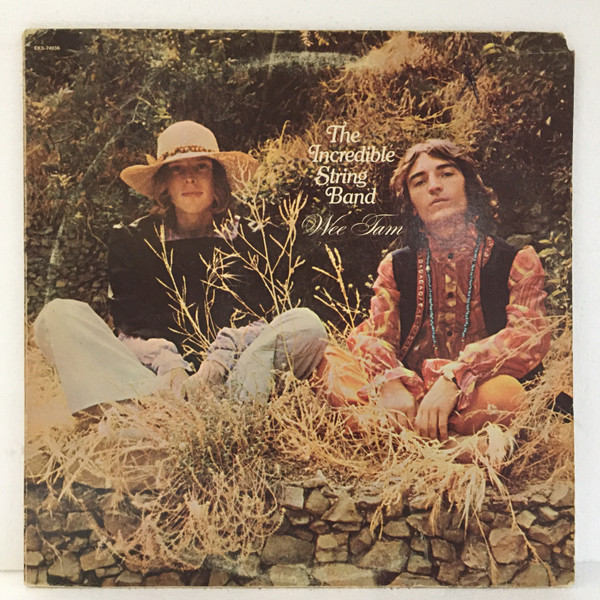 the incredible string band wee tam