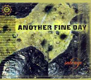 Another Fine Day - Salvage album cover
