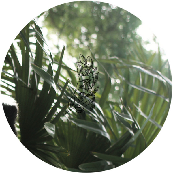 Various - Botanic House Vol. II - Monstera Deliciosa  | House Plants Records (HPRV002)