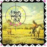 Robert Earl Keen - A Bigger Piece Of Sky album cover