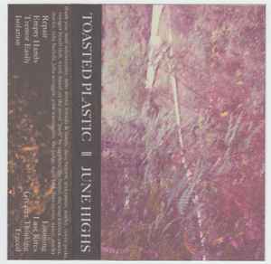 Toasted Plastic - June Highs album cover