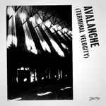 Cover of Avalanche (Terminal Velocity), 2011, Vinyl