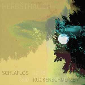 Herbsthauch - Schlaflos - Rückenschmerzen album cover