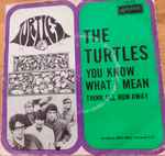 You Know What I Mean / The Turtles