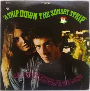 The Leathercoated Minds - A Trip Down The Sunset Strip album cover