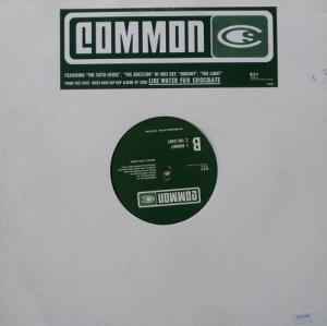 Common – Like Water For Chocolate Sampler (2000, Vinyl) - Discogs