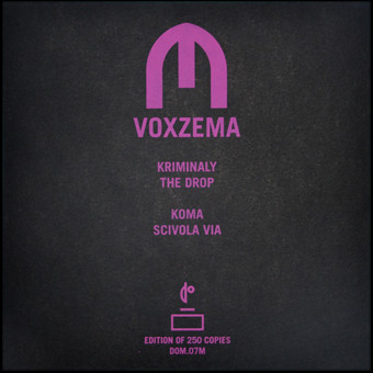 descargar álbum Voxzema - Voxzema