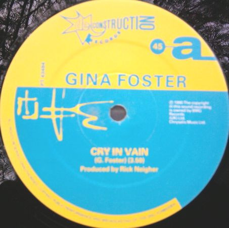 ladda ner album Gina Foster - Cry In Vain
