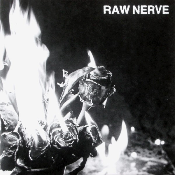 ladda ner album Raw Nerve - Every Problem Solved