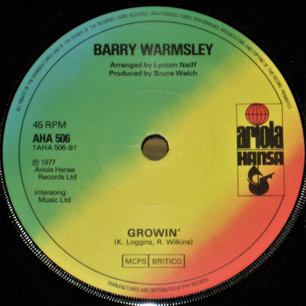 descargar álbum Barry Warmsley - Standing On The Corner
