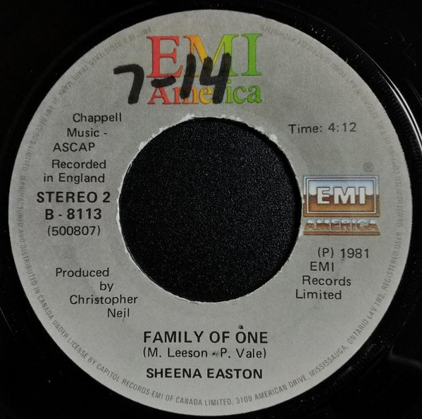 descargar álbum Sheena Easton - When He Shines