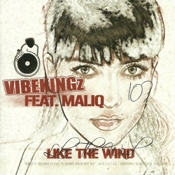 baixar álbum Vibekingz Feat Maliq - Like The Wind