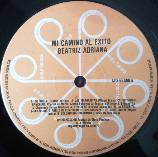 télécharger l'album Beatriz Adriana - Mi Camino Al Exito