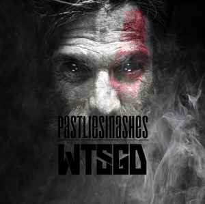 Past Lies In Ashes - WTSGD album cover