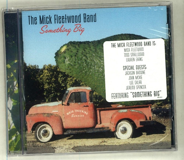 The Mick Fleetwood Band – Something Big (2004, CD) - Discogs