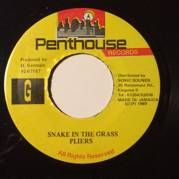 télécharger l'album Pliers - Snake In The Grass