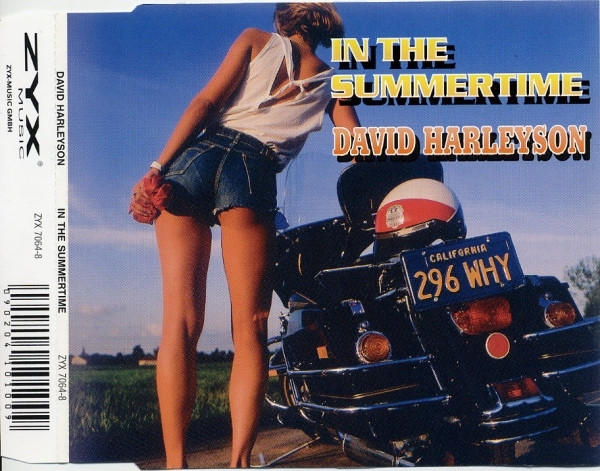 David Harleyson – In The Summertime (1993