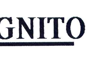 Incognito Records