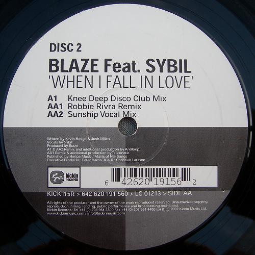 Sybil – When I Fall In Love (2000, Vinyl) - Discogs