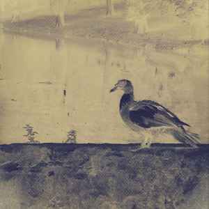 Bird-Stone - Ben McElroy