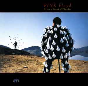 Delicate Sound Of Thunder - Pink Floyd