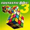 Various - Fantastic 80s! 3