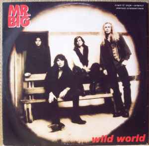 Mr. Big – Wild World (1993, Vinyl) - Discogs